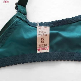 سوتین زنانه پانیذ مدل فنردار کله غازی کد 66370-07