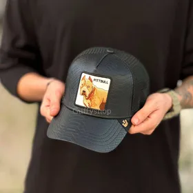 کلاه گورین pittbull چرم