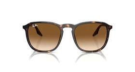 عینک آفتابی ریبن RayBan RB 2203