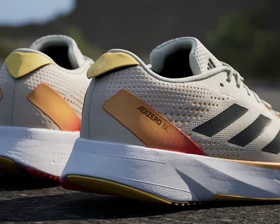 کفش دویدن Adidas Adizero Sl PC_IG3336