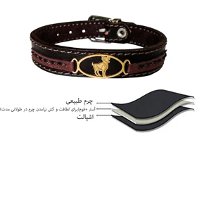 دستبند چرم وارک طرح نماد فروردین مدل پرهام کد rb75