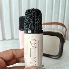 اسپیکر بلوتوثی کارائوکه به همراه دو میکروفون