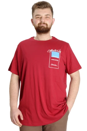 تیشرت سایز بزرگ مردانه modexl