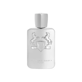 عطر ادکلن پارفومز د مارلی گالووی مردانه و زنانه 100 میل اشدی Parfums de Marly Galloway Ashdi 100ml