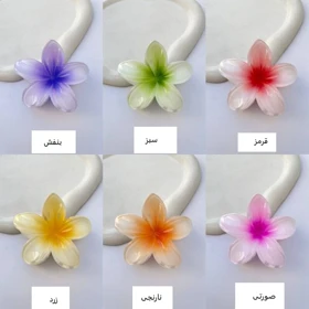 کلیپس مو زنانه مدل گل پلومریا سیران کد np17
