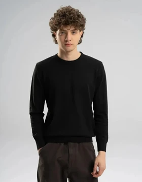 یقه گرد بیسیک مردانه