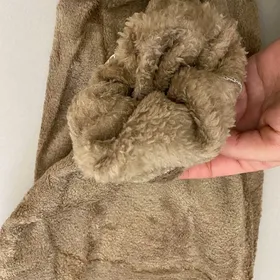 شلوار تدی ساده