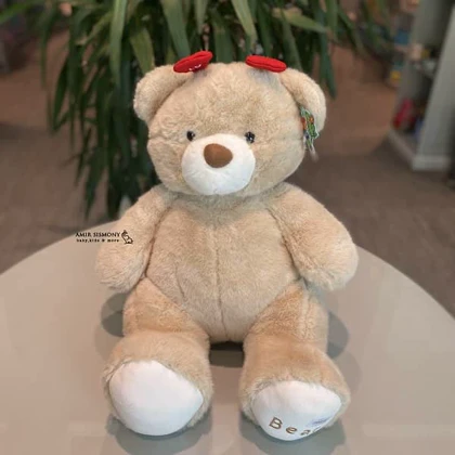 خرس بامزه کیدزلند