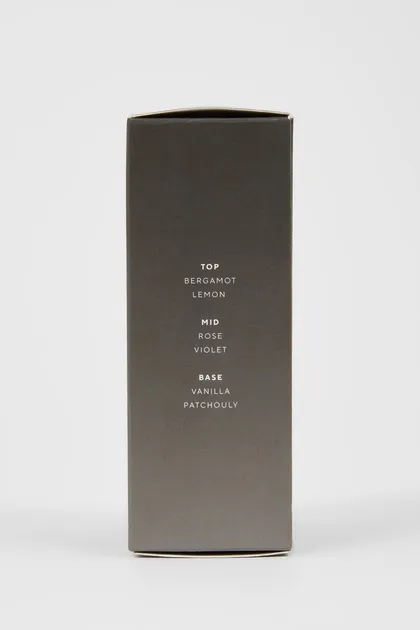 عطر مردانه ایرون گری 100 میلی لیتری R4167AZNS
