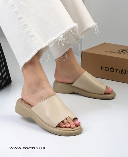 اسلیپر دمپایی زنانه شصتی HP