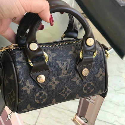 کیف مینی بگ زنانه لویی ویتون LV وارداتی کد 1038