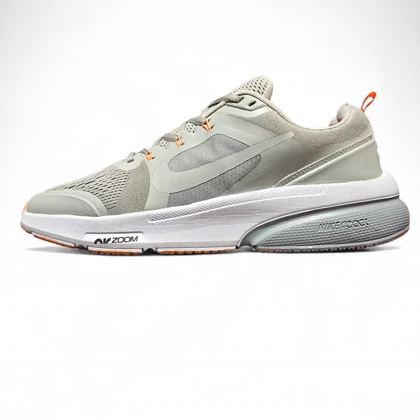 نایک پگاسوس بزرگپا طوسی