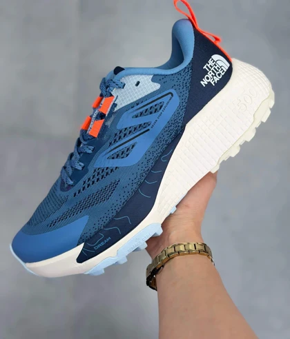 کتانی ویتنامی تریل رانینگ نورث فیس آلتامسا 500 آبیThe North Face Altamesa 500 Blue