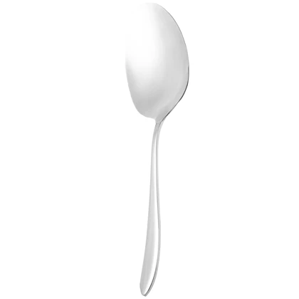 کفگیر بزرگ استیل کد DF050-1