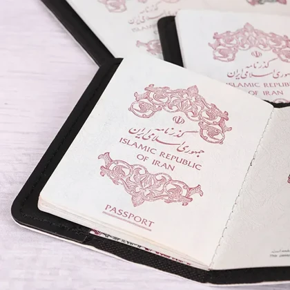 کاور پاسپورت و شناسنامه فانتزی چرم نئون مدل PC104
