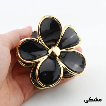 کلیپس دخترانه مدل شیشه ای طرح پلومریا دور طلایی