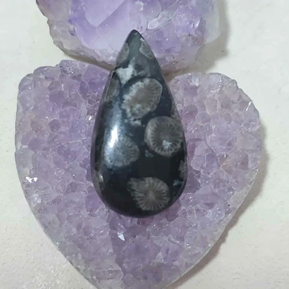 نگین مرجان فسیلی سیاه اصل کد5