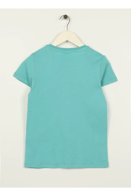 تیشرت مردانه اورجینال assn u.s.-polo-assn.