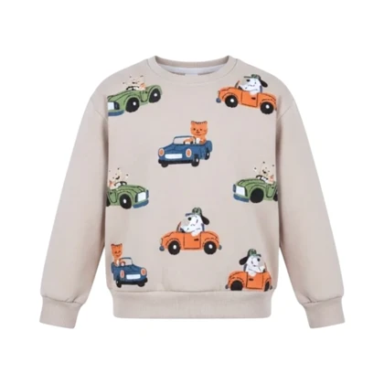 ست سویشرت و شلوار راحتی بچگانه مدل PJ1432