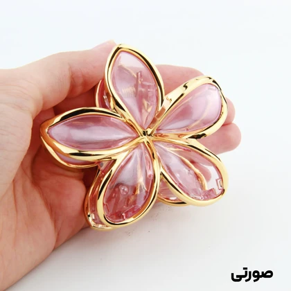کلیپس دخترانه مدل پلومریا دور شیشه ای دو رنگ