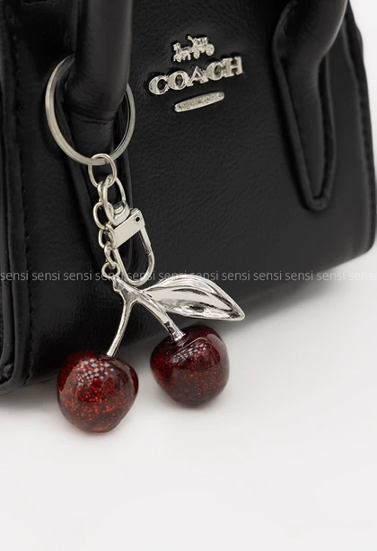 کیف زنانه coachگیلاس کد1006469
