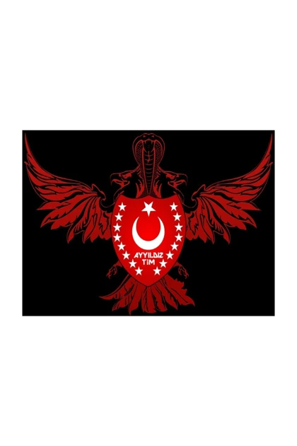 تیشرت سایز بزرگ مردانه lifeguard