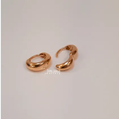 گوشواره سانا کلیپسی-کد 252