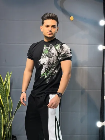 تیشرت گرگی