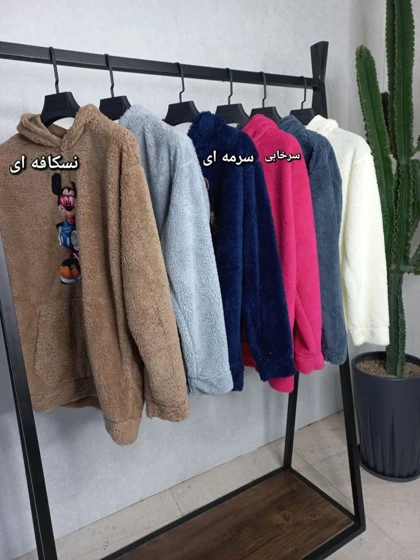 هودی تدی