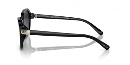 عینک آفتابی کوچ Coach HC8349U Polarized