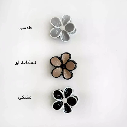 کلیپس ترند 1004727