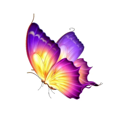 استیکر پارچه و لباس پاد آفرین مدل پرندگان پروانه کد 221
