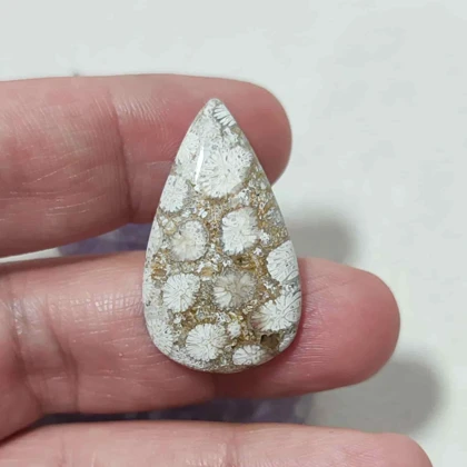 نگین مرجان فسیلی اصل 13