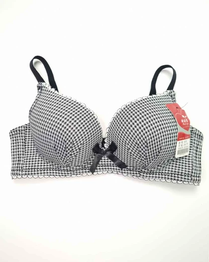 سوتین زنانه اسفنجی چهارخونه ریز سیلکا