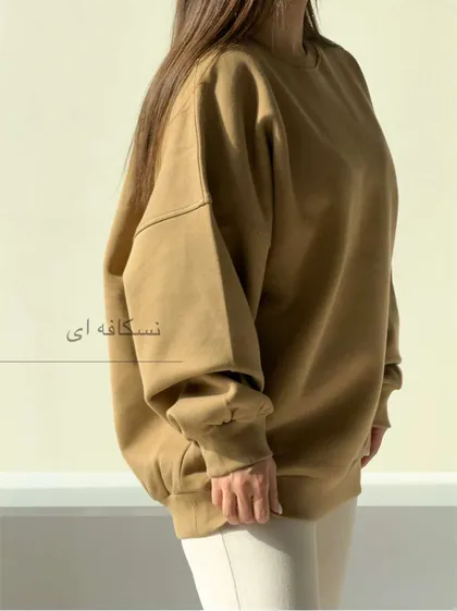 دورس هالی