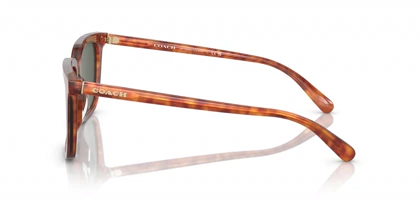 عینک آفتابی کوچ Coach HC8385U
