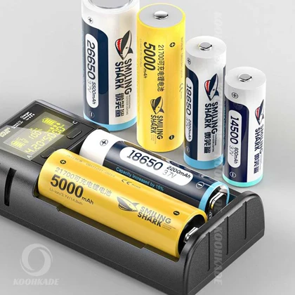 شارژر هوشمند باتری SMILING SHARK کد CD-002D