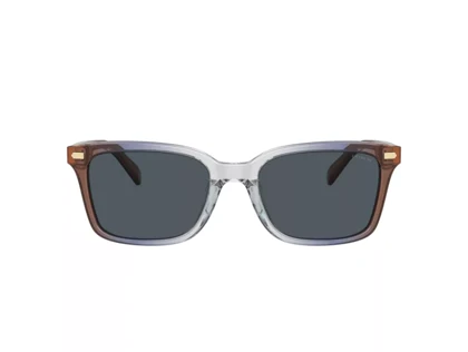 عینک آفتابی کوچ Coach HC8398U