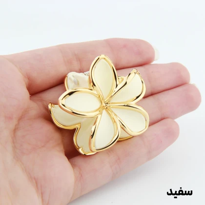 کلیپس دخترانه مدل پلومریا دور طلایی