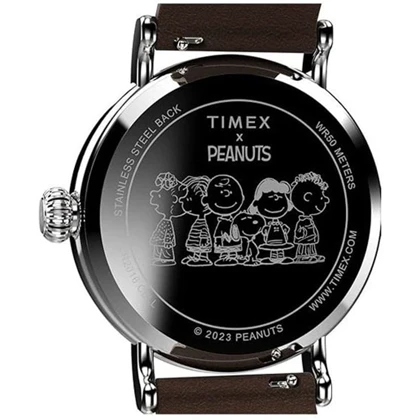 ساعت تایمکس اورجینال مردانه TW2V89800 TIMEX