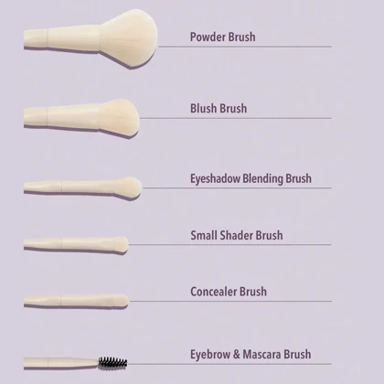 ست براش شیگلم، مدل Pro Core مجموعه 8 عددی