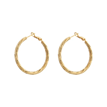 گوشواره زنانه مینمال حلقه‌ای پیچی