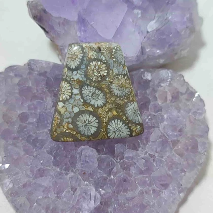 نگین مرجان فسیلی اصل کد9