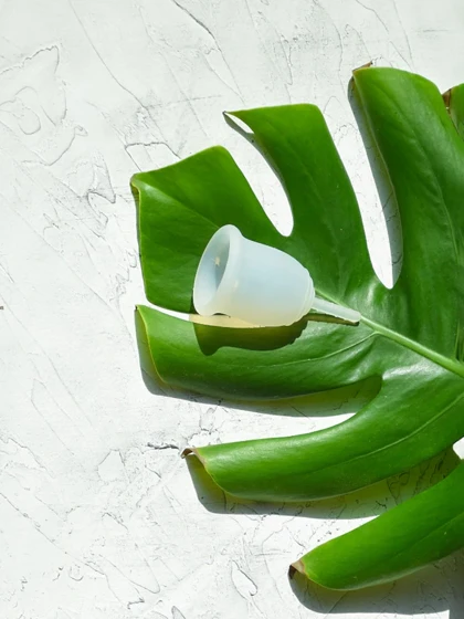 کاپ قاعدگی متوسط مدل حساس لیوا فارما Sensitive levva pharma