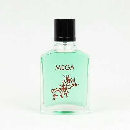 عطر و ادکلن پاییزه مگاماره