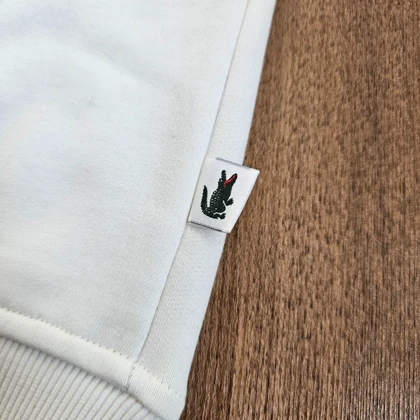 دورس طرح لاگوست لوگو سوسمار