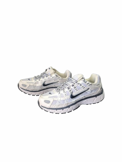 کفش NIKE p6000