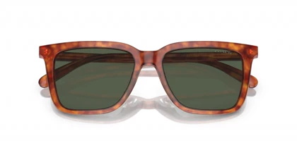 عینک آفتابی کوچ Coach HC8385U