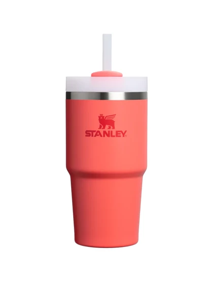قمقمه نی دار استنلی Quencher FlowState Tumbler 591ML