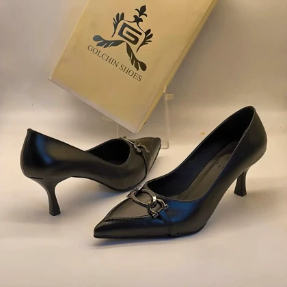 مجلسی مات سگک دار